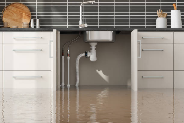  , USA Water damage restoration Pros